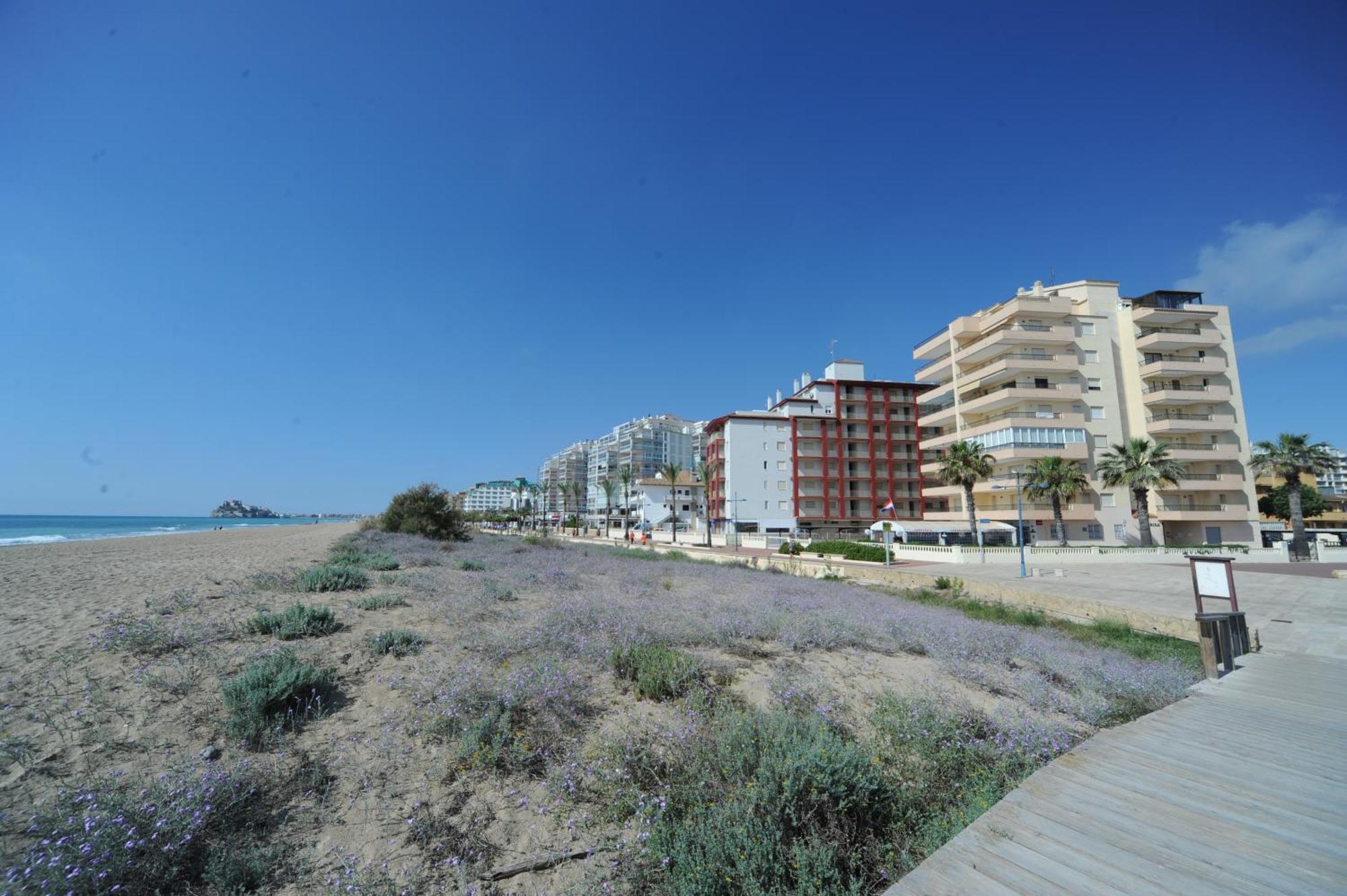 Marina Vistamar Orangecosta Apartman Peñíscola Kültér fotó