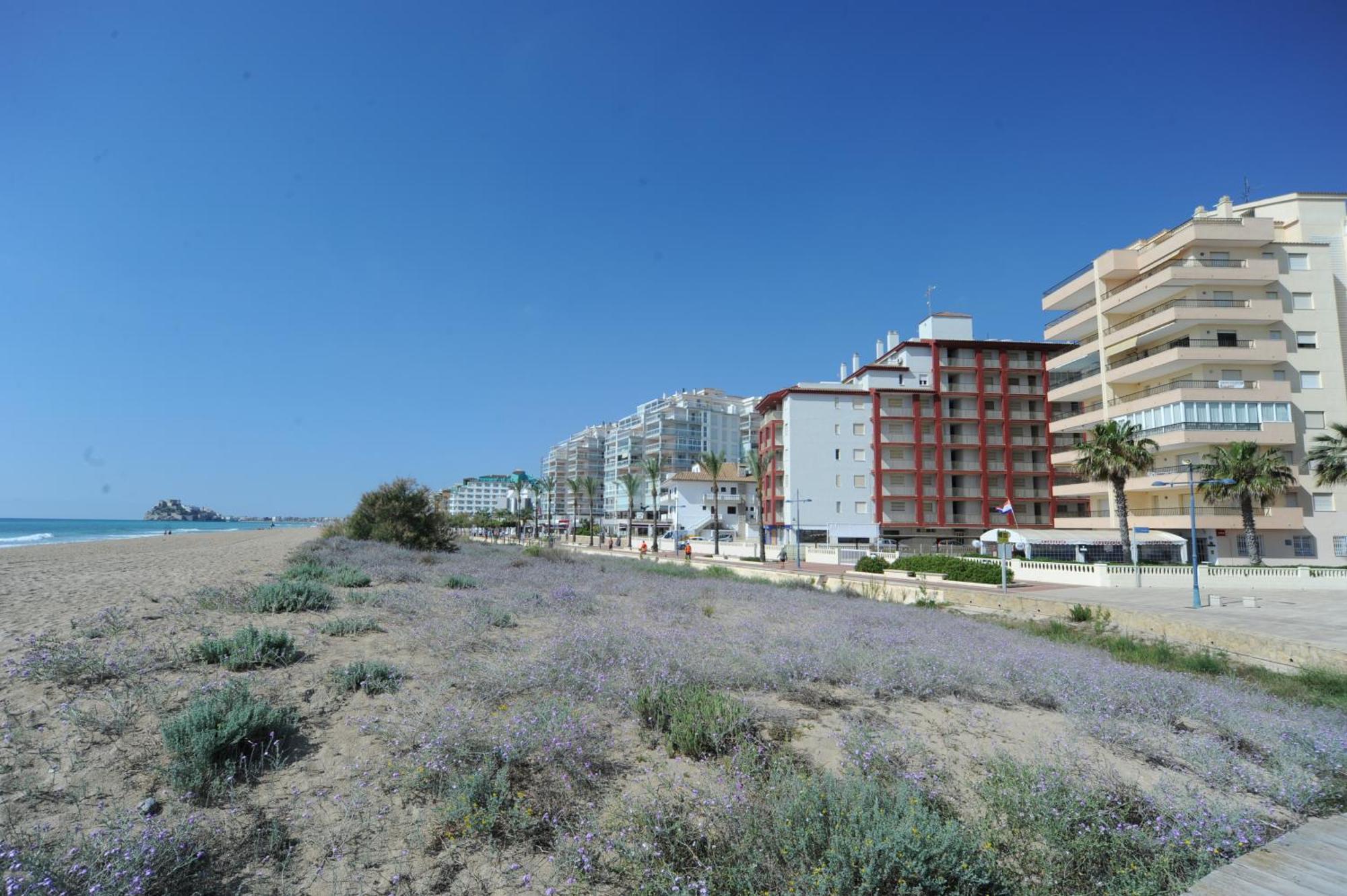Marina Vistamar Orangecosta Apartman Peñíscola Kültér fotó